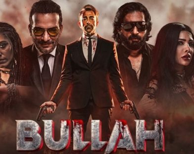 Action Packed Thriller Bulla Collects Over Two Crore In Two Days