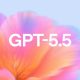 Gpt 5.5 80x80