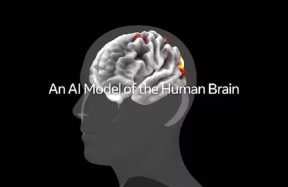 Meta TRIBEv2 Predicts Viral Content Using Human Brain Data