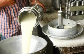 Milk Prices Surge in Karachi Following Official Price Increase Notification