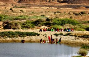 World Bank loan sindh