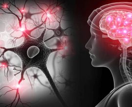Study Highlights Most Painful Deaths and Human Body Reactions