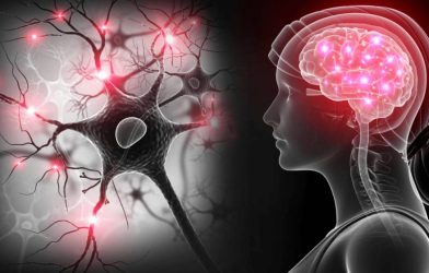 Study Highlights Most Painful Deaths and Human Body Reactions