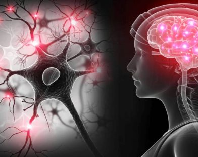 Study Highlights Most Painful Deaths and Human Body Reactions