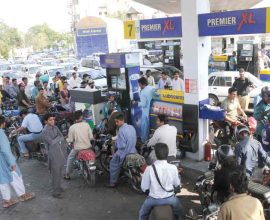 fuel subsidy