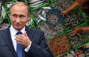 Russia opens seafood market to Pakistan