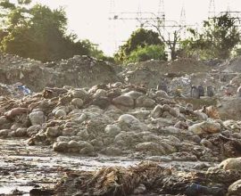 Karachi Eid animal waste