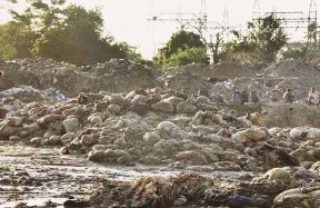 Karachi Eid animal waste