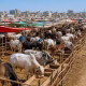 Sindh Eid holiday schedule