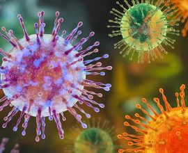 Hantavirus Explained