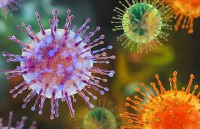 Hantavirus Explained