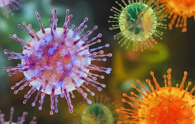 Hantavirus Explained