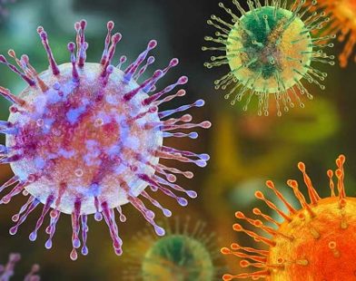 Hantavirus Explained