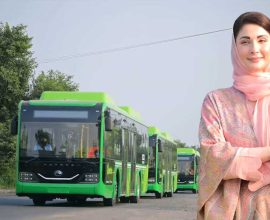 Punjab electric buses