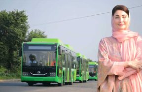 Punjab electric buses