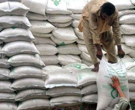 Sugar crisis could repeat