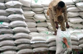 Sugar crisis could repeat