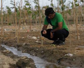 Karachi urban forest project