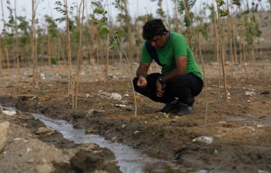 Karachi urban forest project