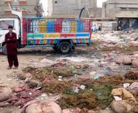 fine for dumping animal waste