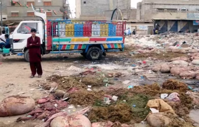 fine for dumping animal waste