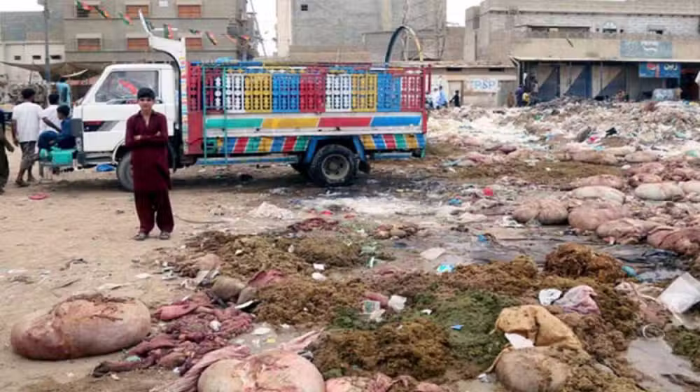 fine for dumping animal waste