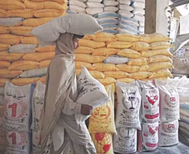 wheat sugar market reforms