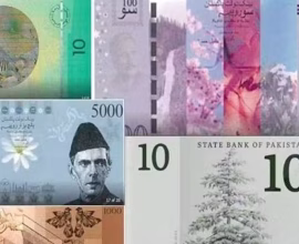 Pakistan new currency notes
