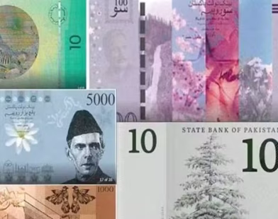 Pakistan new currency notes