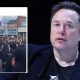 Elon Musk Muharram post