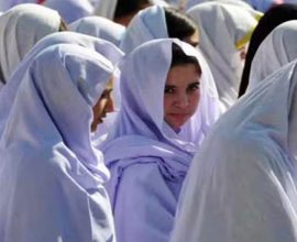 KP summer vacations colleges