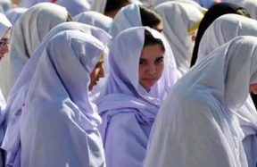 KP summer vacations colleges