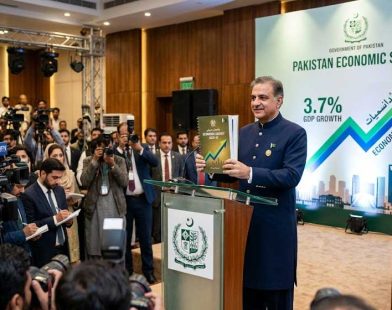 Pakistan Economic Survey 2026