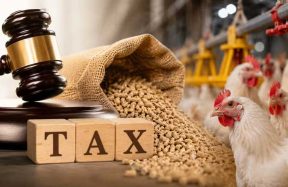 poultry tax illegal