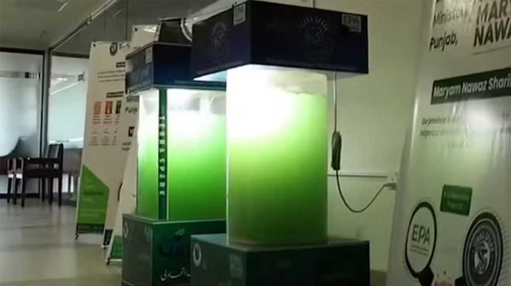 Punjab Just Unveiled a Living Machine That Could Change How Pakistan Fights Smog