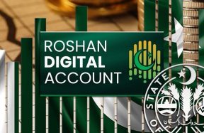 Roshan Digital Account inflows