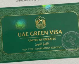 UAE Green Visa application
