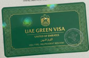 UAE Green Visa application