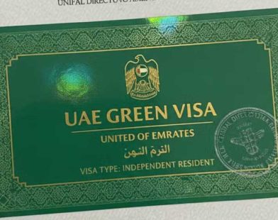 UAE Green Visa application
