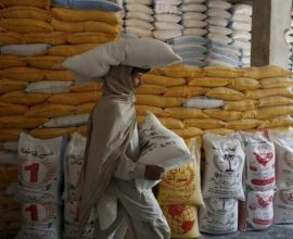 wheat supply Khyber Pakhtunkhwa