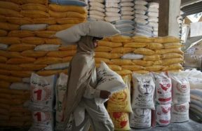 wheat supply Khyber Pakhtunkhwa