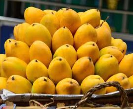 Pakistan mango exports decline