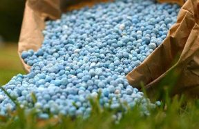 fertilizer subsidy Pakistan budget