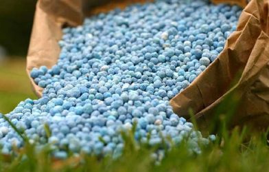 fertilizer subsidy Pakistan budget