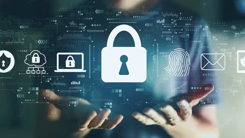 Government Introduces Personal Data Access Rights For Pakistani Citizens