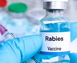 Karachi rabies death vaccine