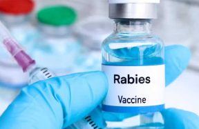 Karachi rabies death vaccine