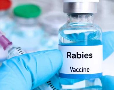 Karachi rabies death vaccine