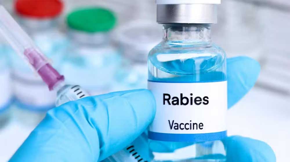 Karachi rabies death vaccine