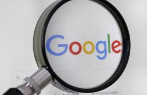 Google search data AI training